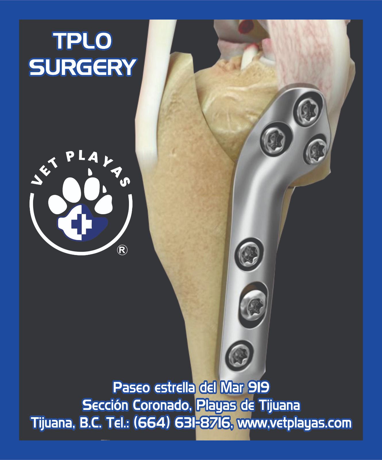 Tibial Plateau Leveling Osteotomy (TPLO Surgery) Vet Playas Veterinary Hospital